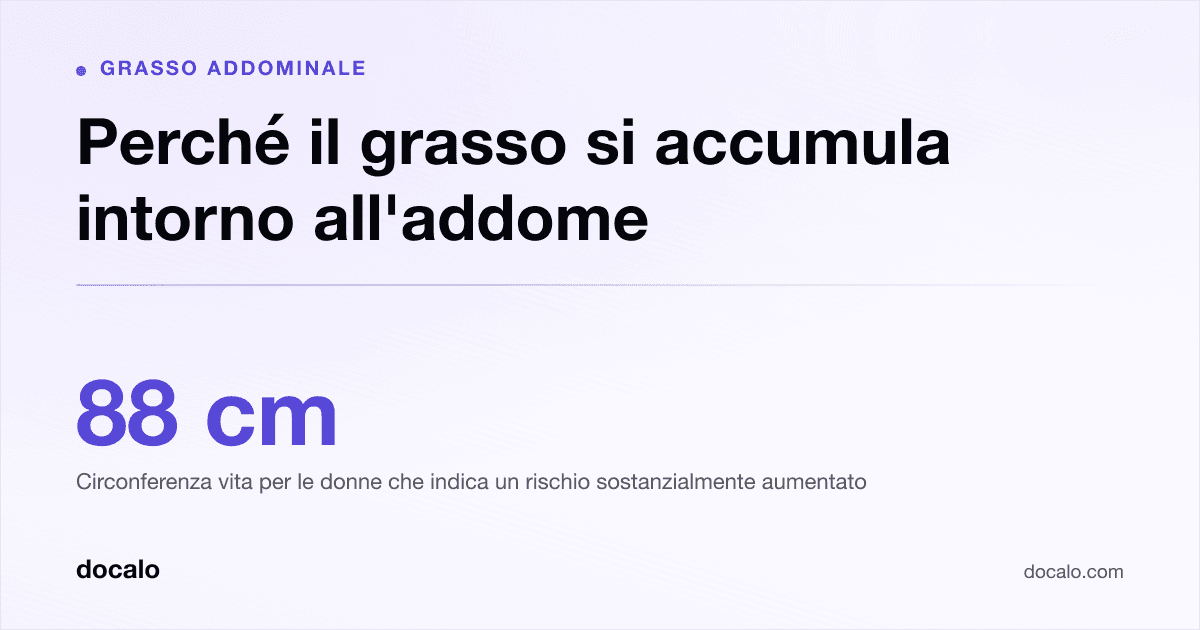 Docalo article card, Grasso addominale: “Perché il grasso si accumula intorno all'addome”. 88 cm Circonferenza vita per le donne che indica un rischio sostanzialmente aumentato.