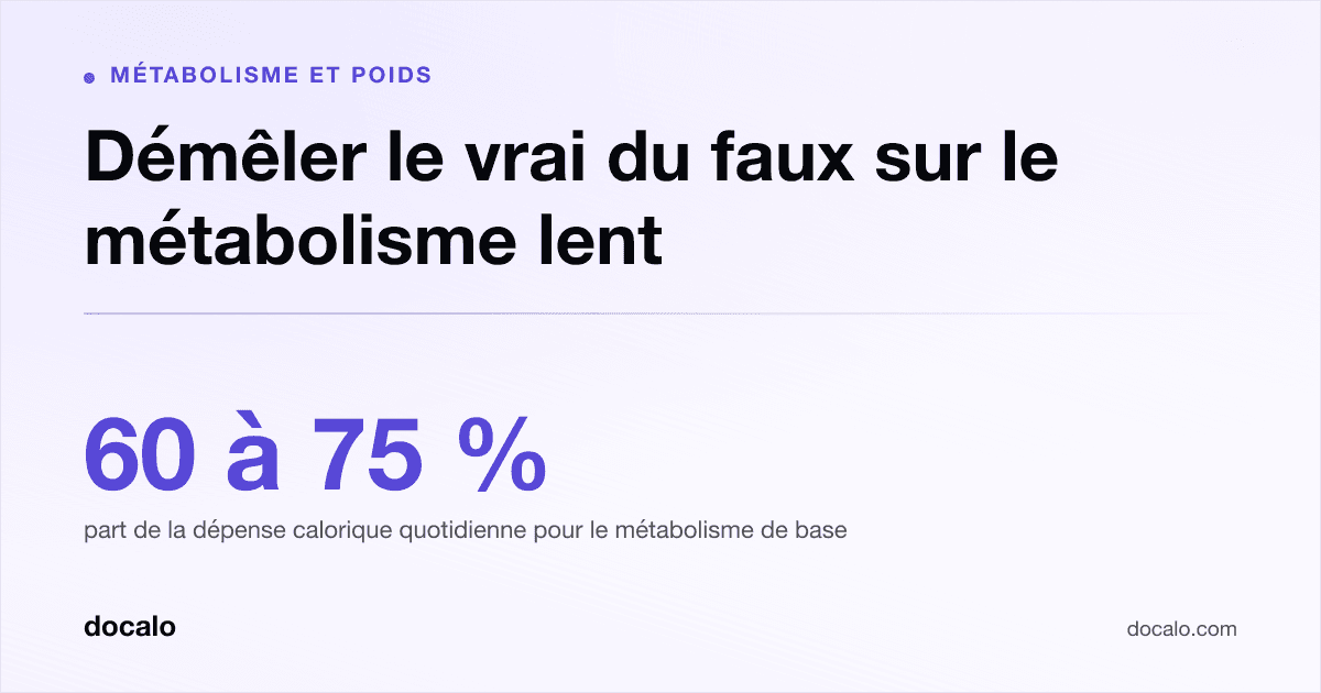 Docalo article card, Métabolisme et poids: “Démêler le vrai du faux sur le métabolisme lent”. 60 à 75 % part de la dépense calorique quotidienne pour le métabolisme de base.