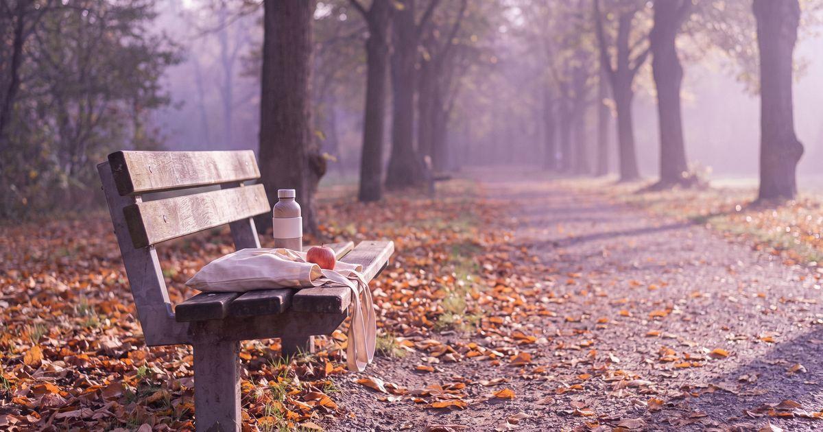 A canvas tote bag with a water bottle and an apple on a park bench beside an autumn tree-lined path.